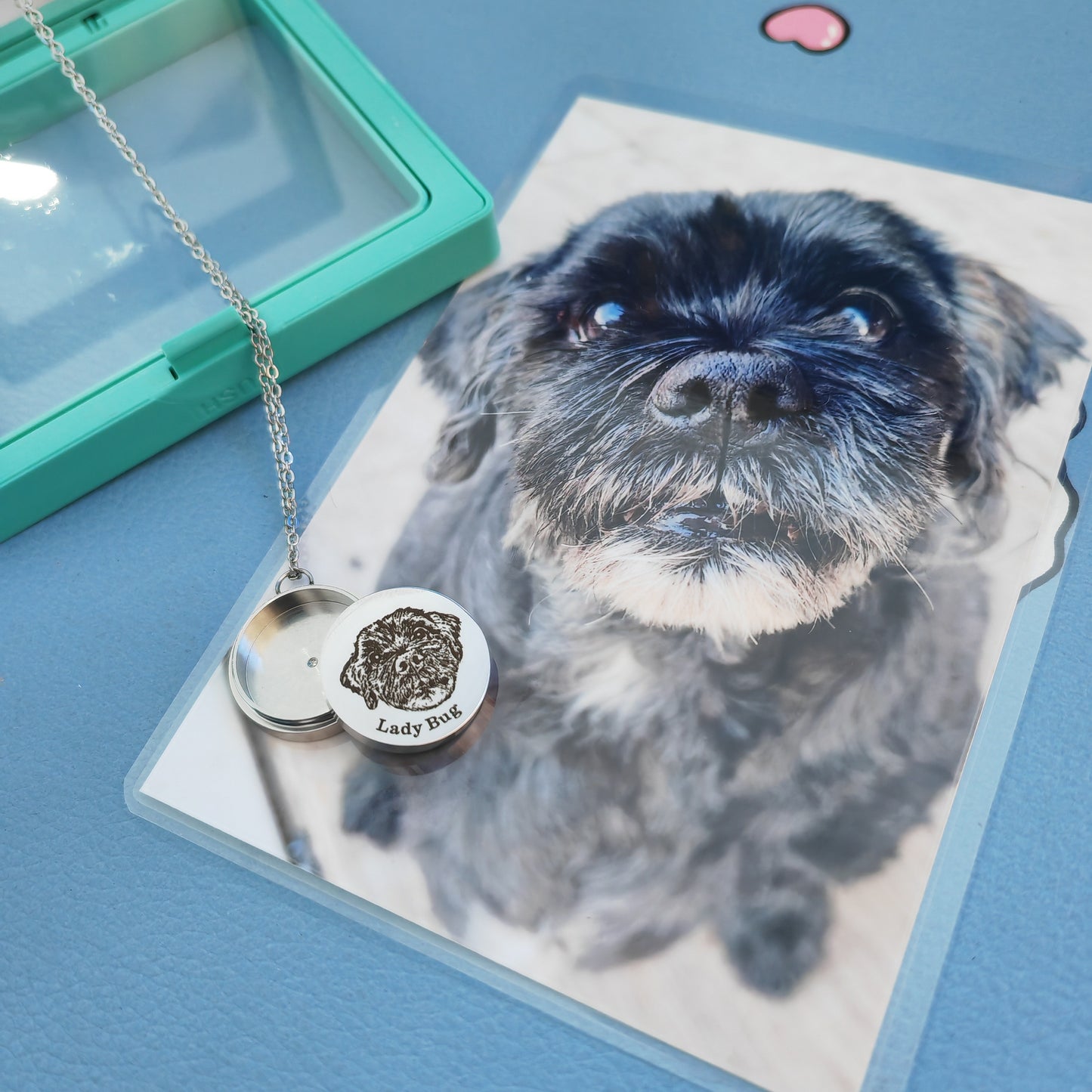 Custom Pet Portrait Outline Drawing