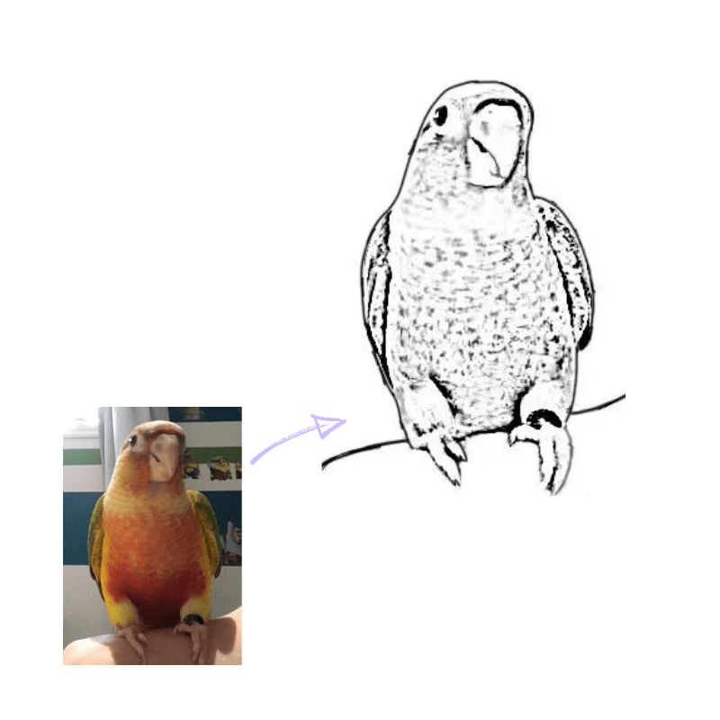Custom Pet Portrait Outline Drawing