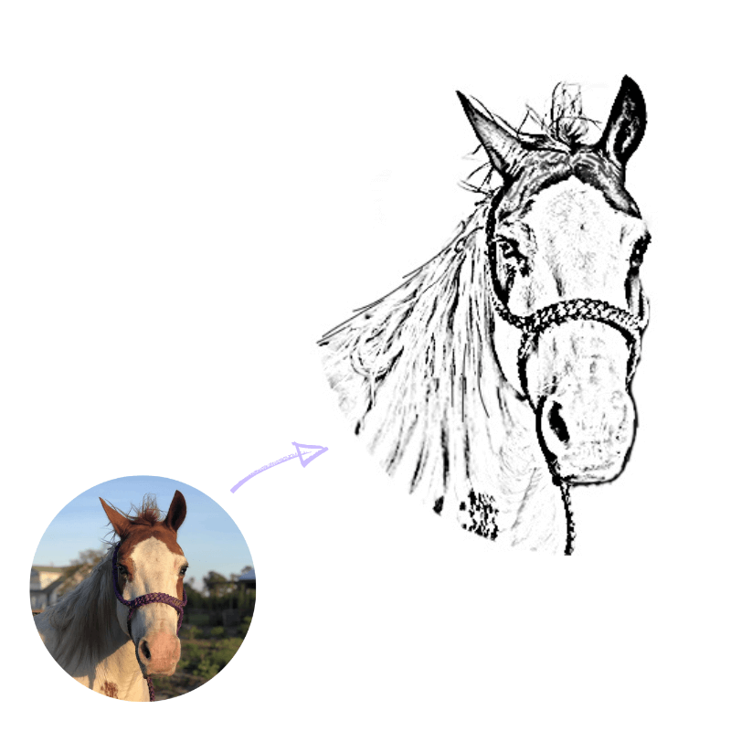 Custom Pet Portrait Outline Drawing